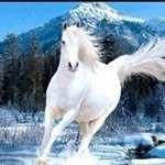 Emin Emin Uluğbey - @eminulugbey - Instagram