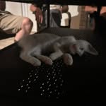 Emina Ćatić - @emina.caticc - Instagram