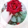 Emine aslan 63 63 - @emine.arslan97 - TikTok