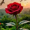Emine Aslan - @emine.aslan134 - TikTok