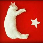 Emine Kaptanoglu - @kaptanogluemine2 - Instagram