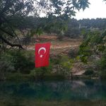 Emine Kaptanoğlu - @eminekaptanoglu - Instagram