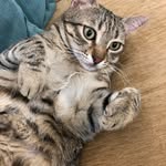 Emine Kaptanoglu - @e_mine3418 - Instagram