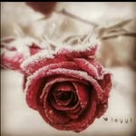 @emine__nas - Instagram