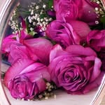 Emine Nasır - @emine_nasir43 - Instagram