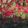 @03_unlu_03 - @emineunlu752 - TikTok