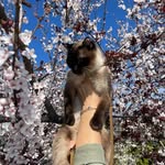 Emine Ünlü - @emine_unlu1 - Instagram