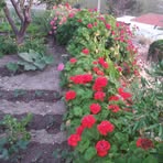 Emine Unlu - Facebook