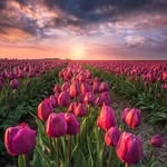 Emine Ünlü - @emine_unluu_ - Instagram