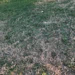 Emir López - @emir_lop3z - Instagram