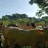 emir Lopez - @leo.lopez8220 - TikTok