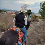 Emir ramos - @emirramostorres - Instagram