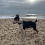 Emma Adamson - @emma.adamson.interior.design - Instagram
