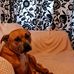 Emma Aitken - Facebook