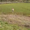 Emma Alder895 - @emmahgtdsw2 - TikTok