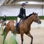 ᴇᴍᴍᴀ ᴀʟᴅᴇʀ - @emequestrian_10 - Instagram