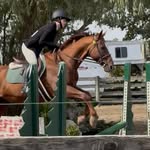 Emma Alder - @emmaalder_eq - Instagram