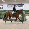 Emma - @emmaalder - TikTok