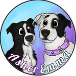 Emma, Asher, and Zora - @adognamedemma - Instagram