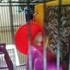 emma baer - @petlover0218 - TikTok