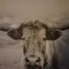 Emma Barkley - @baskafix2baskalove - TikTok