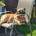 Emma Baxter - Facebook