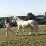 Emma And Beech - @falling_off_my_pony - Instagram