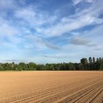 Emma Beech - @beech8018 - Instagram