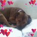 Emma Beech - Facebook