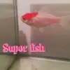 pet acc 🐕🐕🐟 - @emma.beech75 - TikTok