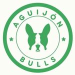 Eᴍᴍᴀ & Bᴇɴᴊᴀᴍɪɴ - @aguijonbulls - Instagram