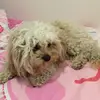 emma.benn - @emma.benn0 - TikTok