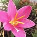 Emma Bernal - Facebook