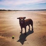 Emma Bicknell - @emma.bicknell.37 - Instagram