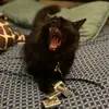 emmabiggs_29 - @emmabiggs_29 - TikTok