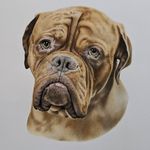 Emma Bingham - @emmabingham_animalart - Instagram