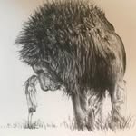 Emma Blount - @blountdrawings - Instagram