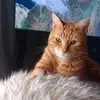 Emma Boland - @emma.boland45 - TikTok