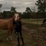 Emma Bowles - @emma_and_prince - Instagram