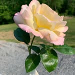 Emma - @itzzzz.emma.bowlin - Instagram