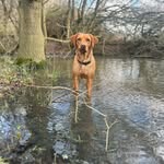 Emma Bowman - @oakani_pups - Instagram