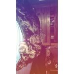 Emma - @emmatheboykin - Instagram