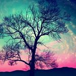 FilisitiForNow - @emma_brake - Instagram