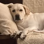 Emmie Burkholder - @emmieburkholder - Instagram