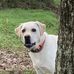Emmie Burkholder - Facebook