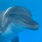 Emma Byler - @awesomemma_5 - Instagram