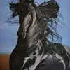 Emma Byler - @emma.byler8 - TikTok