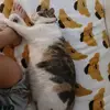 Emma Carnes - @emma.carnes4 - TikTok