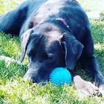 emmacasagrande - @emmacasagrande6 - Instagram