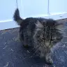 Emma Chow - @30660039729 - TikTok
